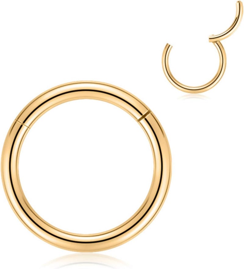 FUNLMO Store 316L Surgical Steel Hinged Segment Nose Ring Hoop for Nose Septum Cartilage Helix Tragus Conch Rook Daith Lobe Lip Piercings 1 Pc - Image 1